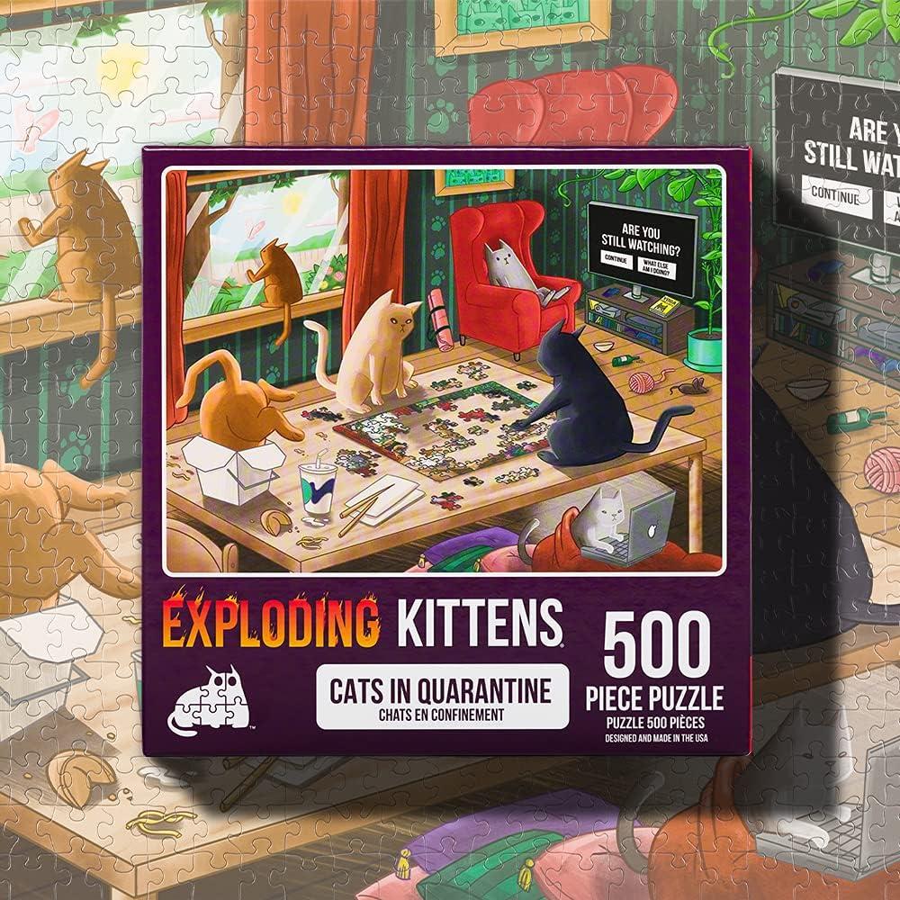 imageCat in The Mirror Jigsaw Puzzle by Exploding Kittens  1000 Pieces Ideal for Adults Teens and Kids  A Funny and Artistic CatThemed PuzzleCats in Quarantine  500 Piece