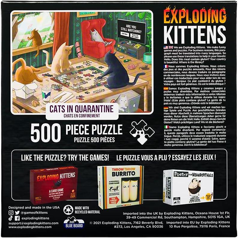 imageCat in The Mirror Jigsaw Puzzle by Exploding Kittens  1000 Pieces Ideal for Adults Teens and Kids  A Funny and Artistic CatThemed PuzzleCats in Quarantine  500 Piece
