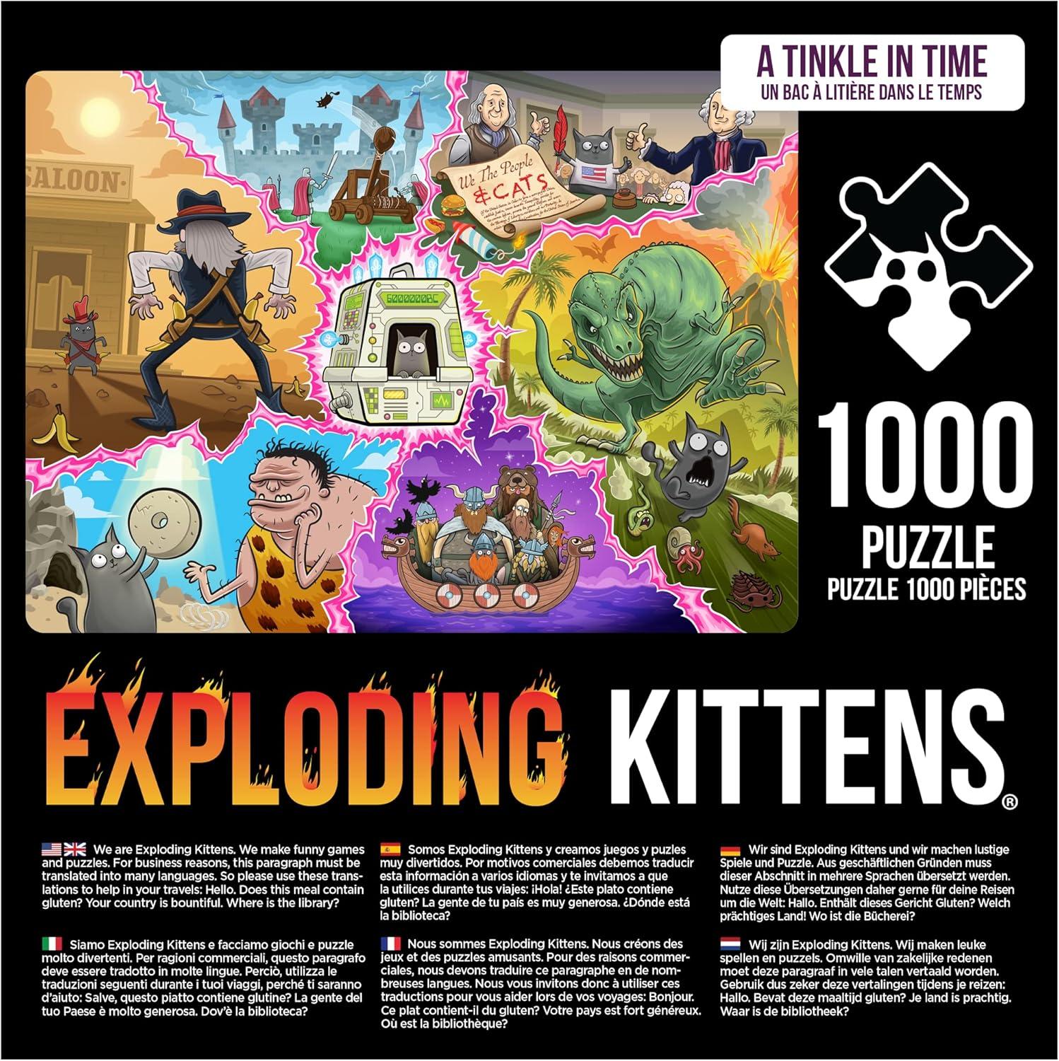 imageCat in The Mirror Jigsaw Puzzle by Exploding Kittens  1000 Pieces Ideal for Adults Teens and Kids  A Funny and Artistic CatThemed PuzzlePUZZLE  A Tinkle in Time 1000
