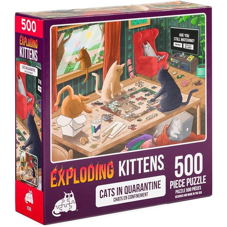 imageCat in The Mirror Jigsaw Puzzle by Exploding Kittens  1000 Pieces Ideal for Adults Teens and Kids  A Funny and Artistic CatThemed PuzzleCats in Quarantine  500 Piece