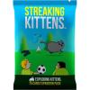 Expansion: Streaking Kittens